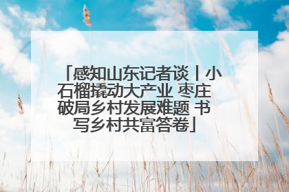 感知山东记者谈丨小石榴撬动大产业 枣庄破局乡村发展难题 书写乡村共富答卷