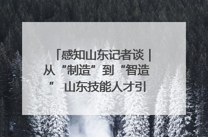 感知山东记者谈｜从“制造”到“智造” 山东技能人才引领产业升级