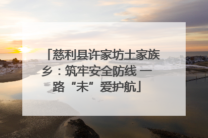 慈利县许家坊土家族乡：筑牢安全防线 一路“未”爱护航