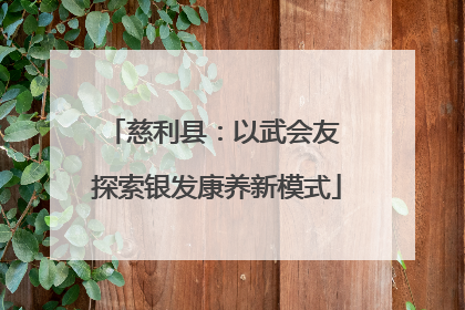 慈利县：以武会友 探索银发康养新模式
