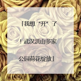 我想“开”了！武汉洪山多家公园荷花绽放