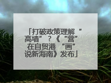 打破政策理解“高墙”？《“营”在自贸港 “画”说新海南》发布