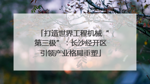 打造世界工程机械“第三极”：长沙经开区引领产业格局重塑