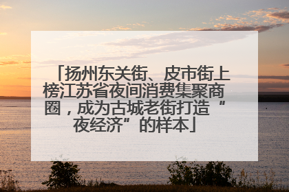 扬州东关街、皮市街上榜江苏省夜间消费集聚商圈，成为古城老街打造“夜经济”的样本