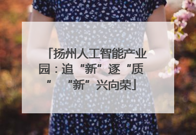 扬州人工智能产业园：追“新”逐“质” “新”兴向荣