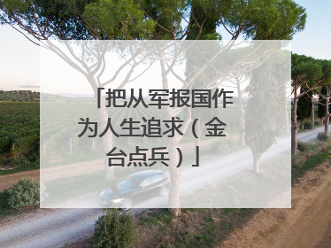 把从军报国作为人生追求（金台点兵）