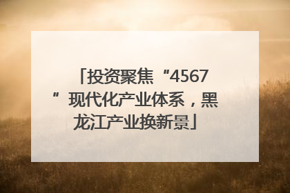 投资聚焦“4567”现代化产业体系，黑龙江产业换新景