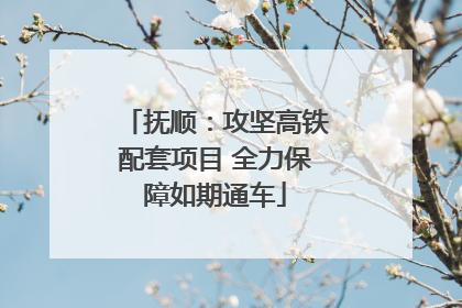 抚顺：攻坚高铁配套项目 全力保障如期通车