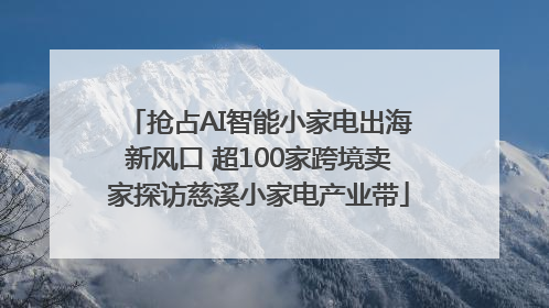抢占AI智能小家电出海新风口 超100家跨境卖家探访慈溪小家电产业带