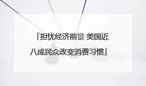 担忧经济前景 美国近八成民众改变消费习惯