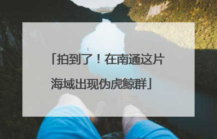 拍到了！在南通这片海域出现伪虎鲸群
