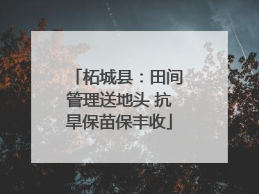 柘城县：田间管理送地头 抗旱保苗保丰收