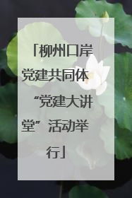 柳州口岸党建共同体“党建大讲堂”活动举行