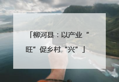 柳河县：以产业“旺”促乡村“兴”