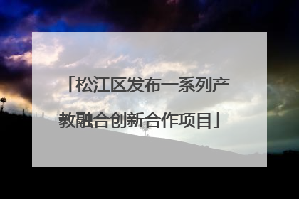 松江区发布一系列产教融合创新合作项目
