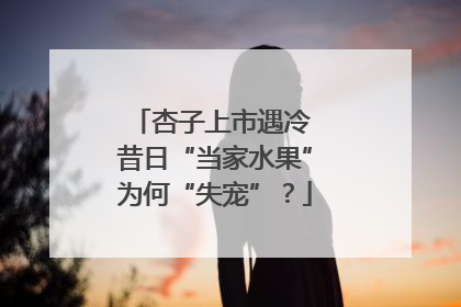 杏子上市遇冷 昔日“当家水果”为何“失宠”？