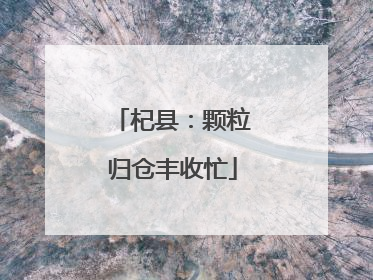 杞县：颗粒归仓丰收忙