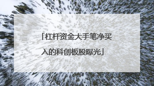 杠杆资金大手笔净买入的科创板股曝光
