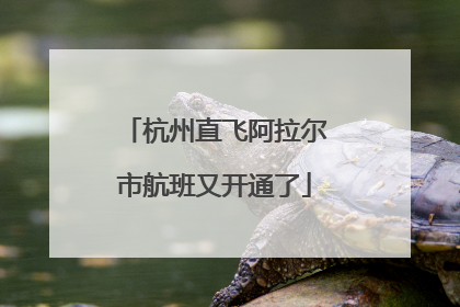 杭州直飞阿拉尔市航班又开通了