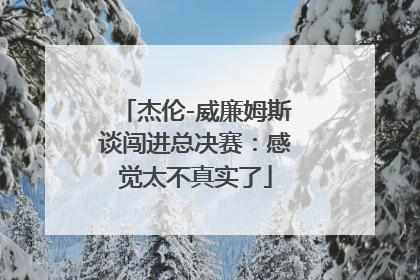杰伦-威廉姆斯谈闯进总决赛：感觉太不真实了