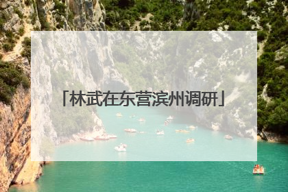林武在东营滨州调研