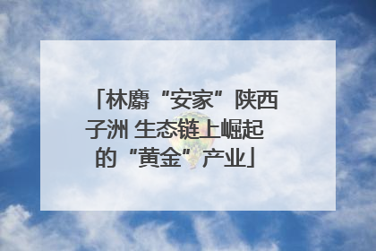 林麝“安家”陕西子洲 生态链上崛起的“黄金”产业