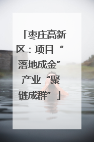 枣庄高新区：项目“落地成金” 产业“聚链成群”