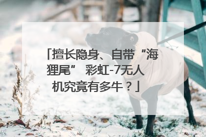 擅长隐身、自带“海狸尾” 彩虹-7无人机究竟有多牛？