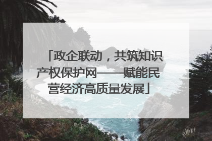 政企联动，共筑知识产权保护网——赋能民营经济高质量发展