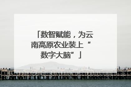 数智赋能，为云南高原农业装上“数字大脑”