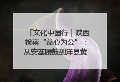 文化中国行｜陕西检察“益心为公”：从安塞腰鼓到洋县黄酒的非遗守护