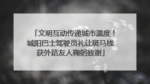 文明互动传递城市温度！城阳巴士驾驶员礼让斑马线获外籍友人鞠躬致谢