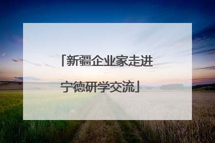 新疆企业家走进宁德研学交流
