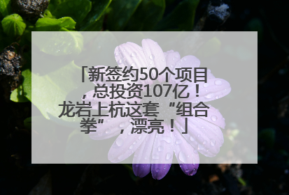 新签约50个项目，总投资107亿！龙岩上杭这套“组合拳”，漂亮！