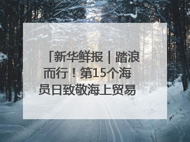 新华鲜报｜踏浪而行！第15个海员日致敬海上贸易“守护人”