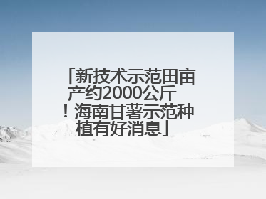 新技术示范田亩产约2000公斤！海南甘薯示范种植有好消息