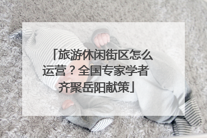 旅游休闲街区怎么运营？全国专家学者齐聚岳阳献策