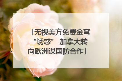 无视美方免费金穹“诱惑” 加拿大转向欧洲谋国防合作