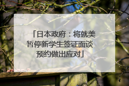 日本政府：将就美暂停新学生签证面谈预约做出应对