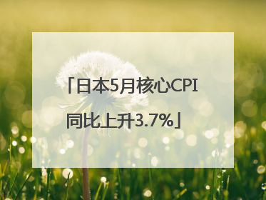 日本5月核心CPI同比上升3.7%