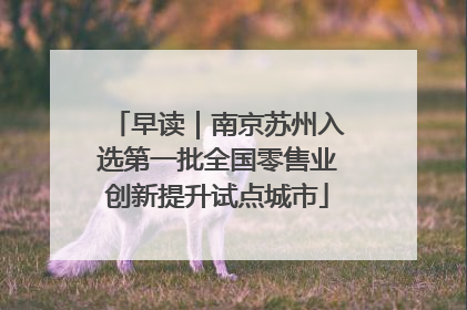 早读｜南京苏州入选第一批全国零售业创新提升试点城市