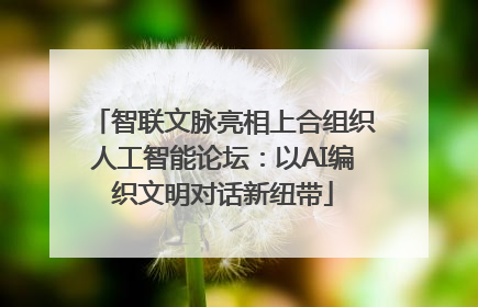智联文脉亮相上合组织人工智能论坛：以AI编织文明对话新纽带