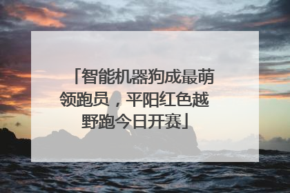 智能机器狗成最萌领跑员，平阳红色越野跑今日开赛