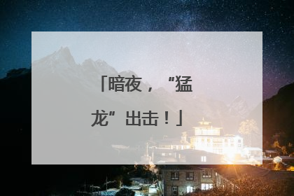 暗夜，“猛龙”出击！