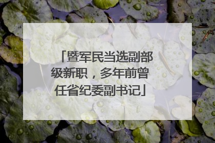暨军民当选副部级新职，多年前曾任省纪委副书记