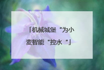 机械城堡“为小麦智能“控水“