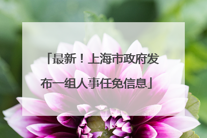 最新！上海市政府发布一组人事任免信息