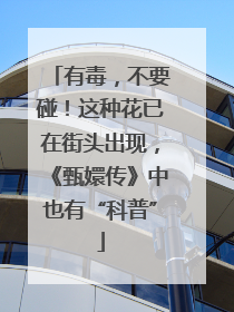 有毒，不要碰！这种花已在街头出现，《甄嬛传》中也有“科普”