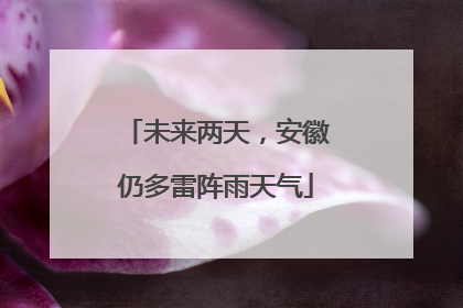 未来两天，安徽仍多雷阵雨天气