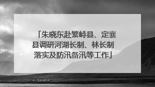 朱晓东赴繁峙县、定襄县调研河湖长制、林长制落实及防汛备汛等工作